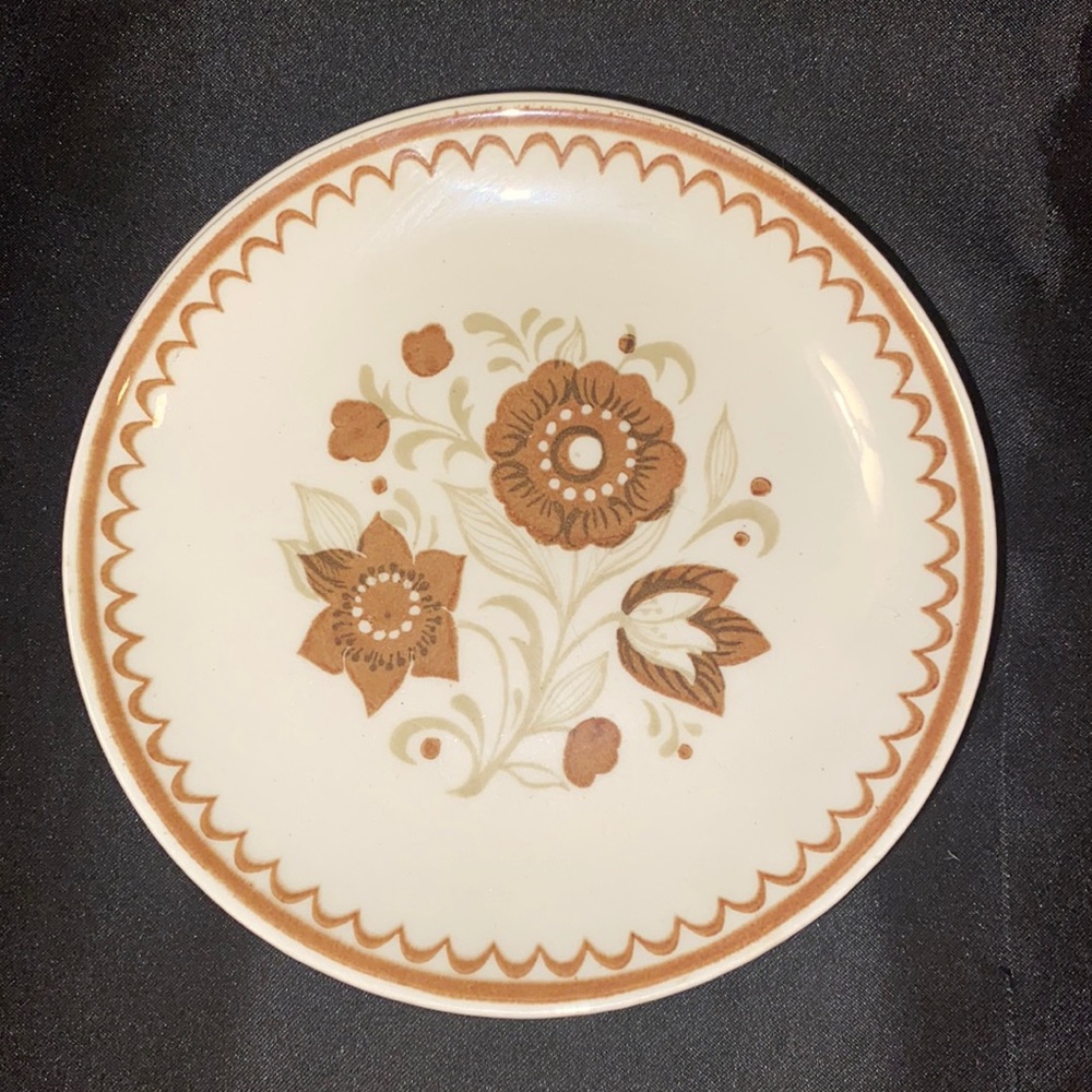 5 VTG Royal China Cavalier Nutmeg Plates